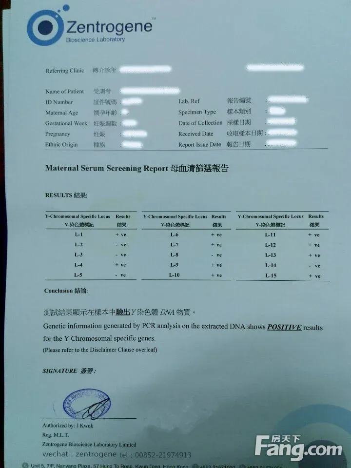 Y染色体验血