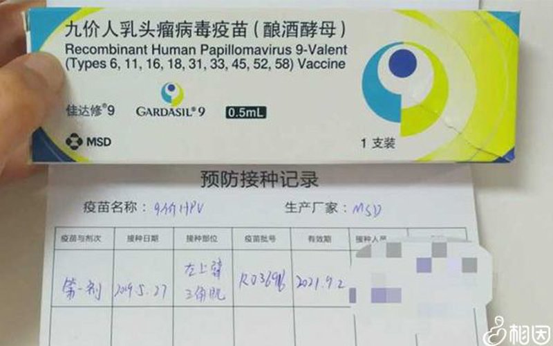 探索Y染色体带来的独特体验